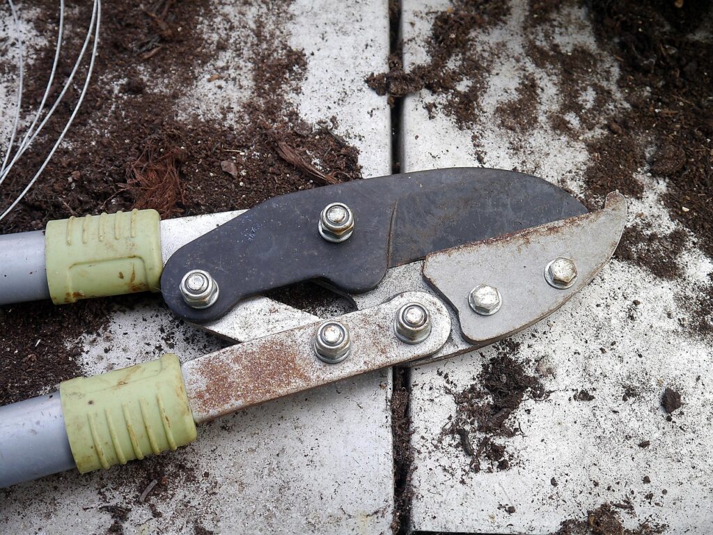 Jak dbać o sekator i nożyce?